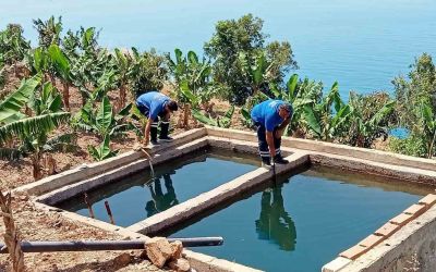 Antalya’da vektörel mücadele kültürel, fiziksel, biyolojik ve kimyasal olarak gerçekleştiriliyor
