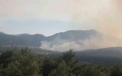 Antalya’daki orman yangınına müdahale sürüyor
