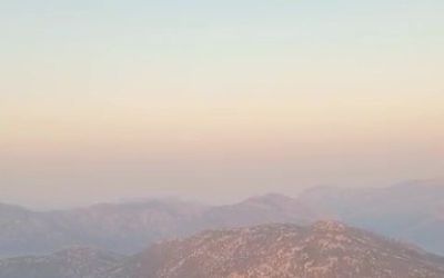 Antalya’daki orman yangını kontrol altına alındı
