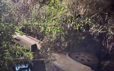 Serik’te kontrolden çıkan otomobil ağaçlık alana daldı: 1 yaralı
