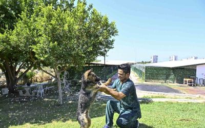 Muratpaşa’dan patili dostlara serin dokunuş
