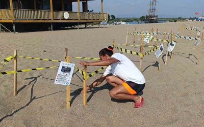 Manavgat’ta caretta caretta yavrularına koruma nöbeti
