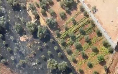 Antalya’da ormanlık alanı tehdit eden yangın

