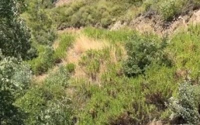 Antalya’da otomobil uçuruma yuvarlandı: 5 ölü, 2 yaralı
