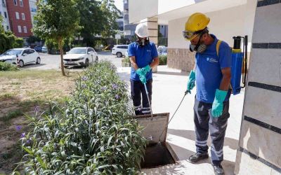 Büyükşehir vektörle mücadelede eğitim ve saha çalışmalarını sürdürüyor
