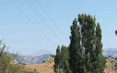 Alanya’da otluk alanda çıkan yangın büyümeden söndürüldü

