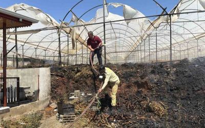 Gazipaşa’da sera yangını
