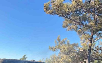 Alanya’da çalılık alanda çıkan yangında bir araç ve ev hasar gördü
