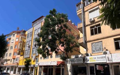 Fırtınanın devirdiği ağaç nedeniyle yol trafiğe kapatıldı
