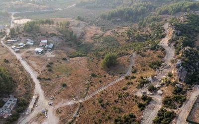 Manavgat’ta sokak hayvanlarına 75 dönümlük yaşam alanı
