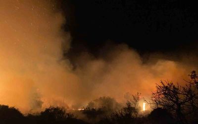 Gazipaşa’da makilik alanda yangın
