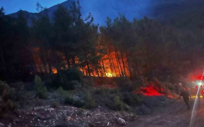 Alanya’da ormanlık alanda çıkan yangın kontrol altına alındı
