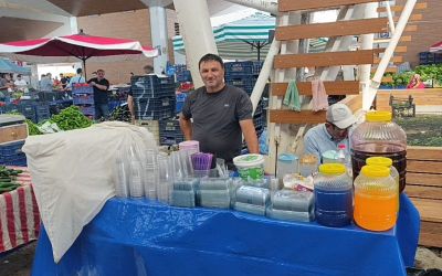 Torosların zirvesinden gelen karlarla serinliyorlar
