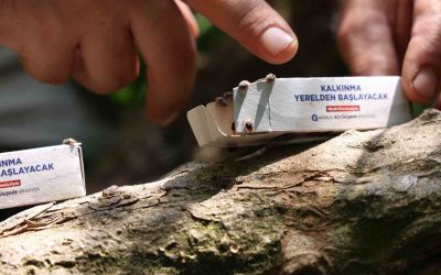 Antalya Büyükşehir’den 800 dekarlık arazi için çiftçilere faydalı böcek dağıtımı
