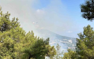 Antalya’da iki ilçede çıkan orman yangınına müdahale ediliyor
