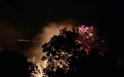 Alanya’da gece saatlerinde çıkan orman yangını kontrol altına alındı
