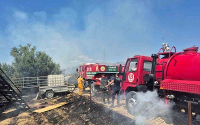 Antik kente yakın zeytinlik alanda yangında 1,25 dönüm zarar gördü
