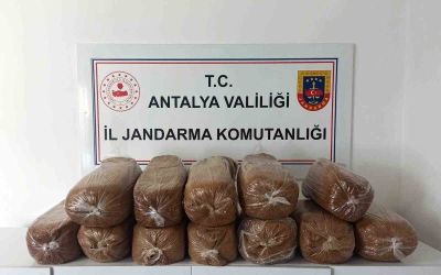 Antalya’da üç ilçede kaçak tütün operasyonu: 785 kilogram tütün ele geçirildi
