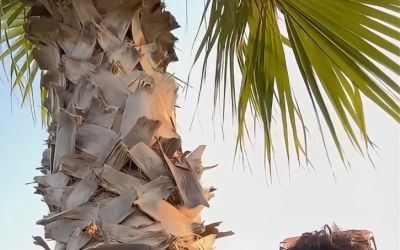 Antalya’da plajda tesettürlü kadınları görüntüleyip hakaret eden şahıslar hakkında soruşturma
