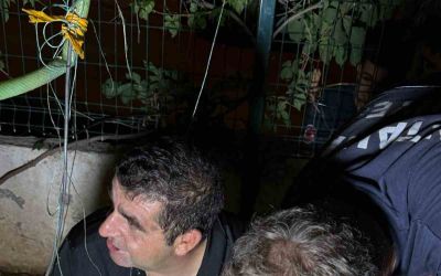 30 metrelik sondaj kuyusuna düşen yavru kedi itfaiyenin 5 saatlik film gibi operasyonu ile kurtarıldı
