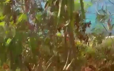 Kaş’ta denize atık su karışmasına 839 bin lira ceza
