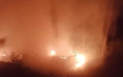 Alanya’da ormanlık alan yangınında 2 dönüm alan zarar gördü
