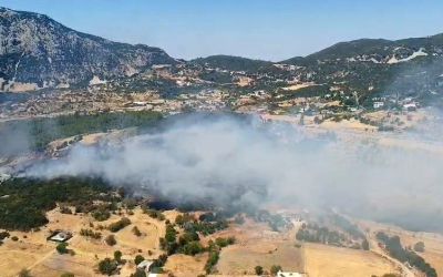 Kaş’ta çıkan ormanlık alan yangını 2,5 saatte kontrol altına alındı
