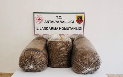Antalya’da kaçak tütün operasyonunda 365 kilo tütün ele geçirildi
