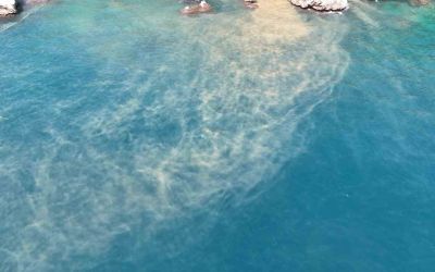 Antalya’da sahile ulaşan atık su görüntülerine soruşturma
