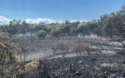 Manavgat’ta boğaz mendirek yolunda korkutan yangın
