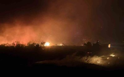 Antalya’da otluk yangını 30 dönümlük alanda etkili oldu
