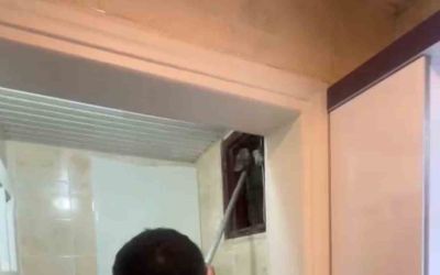 Alanya’da havalandırma bacasına düşen kedi ekipler tarafından kurtarıldı
