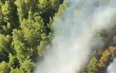 Manavgat’taki orman yangını  kontrol altına alındı
