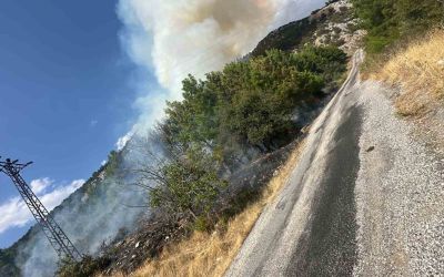 Akseki’de orman yangını

