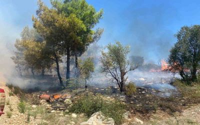 Antalya’da  zirai alanda çıkan yangın büyümeden söndürüldü
