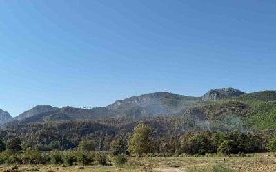 Antalya Serik’teki yangın büyük oranda kontrol altına alındı
