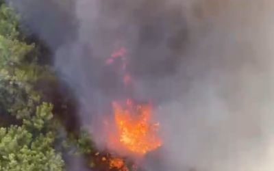 Antalya Aksu’da orman yangını
