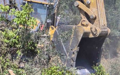 Manavgat’ta zeytinlik yangında 100 ağaç zarar gördü

