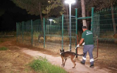 Büyükşehir ekipleri yangında can dostlar için seferber oldu
