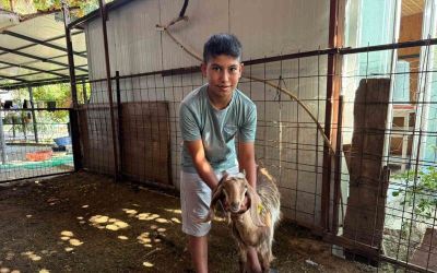 Koca yürekli iki kuzen, yangından kurtardıkları oğlaklarını sırtlarında taşıdı
