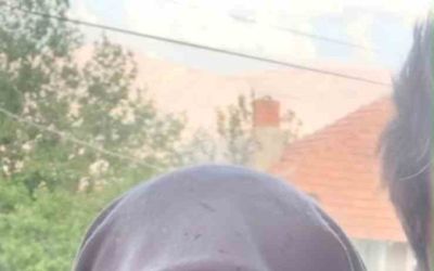 65 yaşındaki kadının ölümüyle ilgili ağırlaştırılmış müebbet alan sanık tutuklandı
