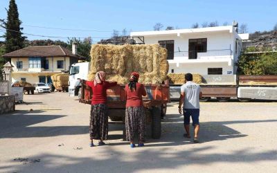 Aksu’da yangından etkilenen bölgelere saman desteği
