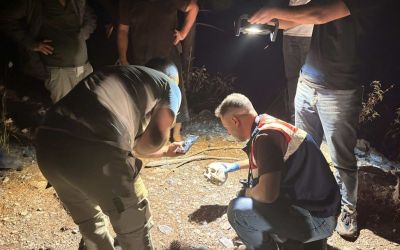 Gazipaşa’da ormanlık alanda kafatası bulundu
