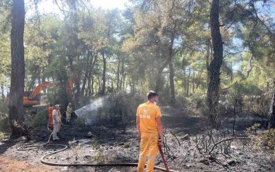 Antalya’da çıkan orman yangın kontrol altına alındı
