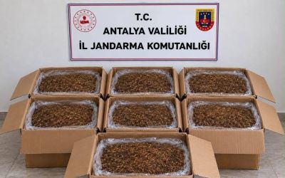 Alanya ve Döşemealtı’nda kaçak tütün operasyonu
