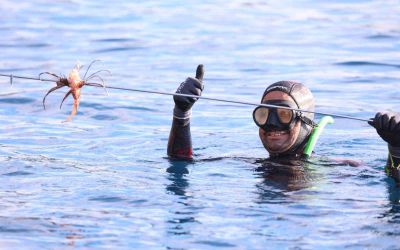 Antalya’da 30 bin TL ödüllü aslan balığı avlama yarışması
