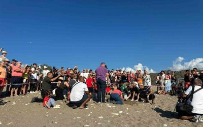 Kemer’de son caretta caretta yuvası açıldı
