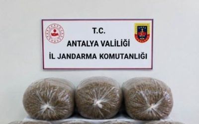 Antalya’da üç ilçede kaçak tütün operasyonu: 400 kilogram tütün ele geçirildi
