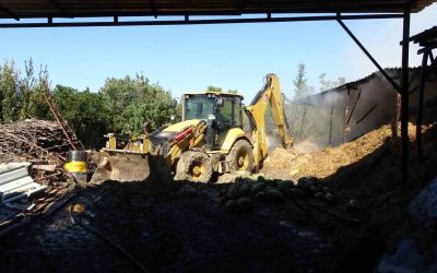 Antalya’da 2 yıl arayla ikinci kez yanan ahırda hayvanlar telef oldu
