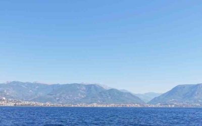 Alanya açıklarında yunus sürüsü dronla görüntülendi
